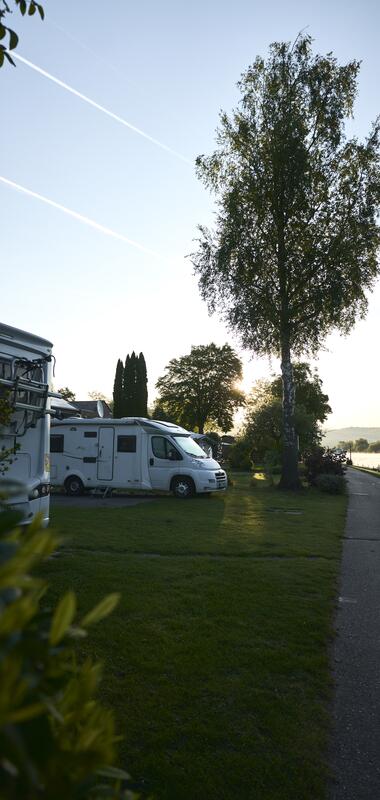 Binau, Odenwald, Baden-Württemberg, Deutschland
Fortuna Camping, Binau, Odenwald, Baden-Württemberg, Deutschland