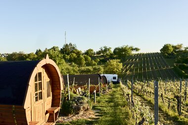 Schlaffässer im Weingut - Glamping im Weingut Müller im Auerberg | Nordheim, HeilbronnerLand, Baden-Württemberg, Deutschland | © Stefan Leitner