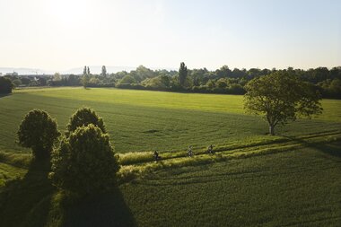 Schwetzingen, Rhein-Neckar, Baden-Württemberg, Deutschland