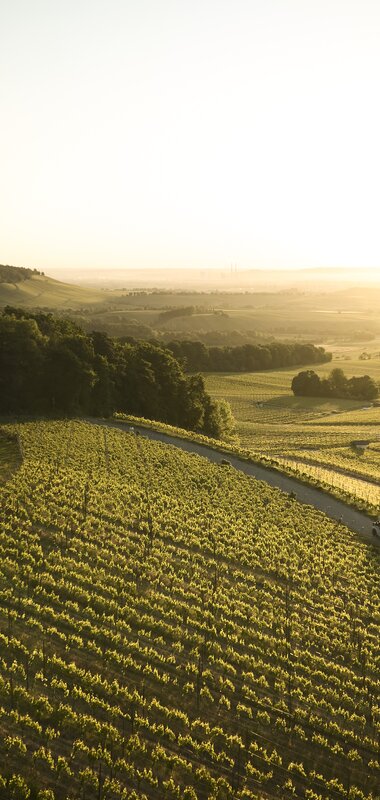 Am Heuchelberg, Kraichgau-Stromberg, Baden-Württemberg im Deutschland