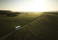 Am Heuchelberg, Kraichgau-Stromberg, Baden-Württemberg im Deutschland
