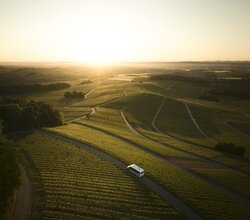 Am Heuchelberg, Kraichgau-Stromberg, Baden-Württemberg im Deutschland