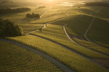 Am Heuchelberg, Kraichgau-Stromberg, Baden-Württemberg im Deutschland
