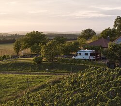 Weingut Schlör in Reicholzheim, Taubertal, Baden-Württemberg, Deutschland