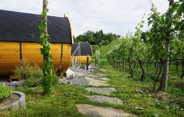 Außenansicht der Schlaffässer | © Neckar-Zaber-Tourismus e.V.
