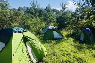 Trekking-Camp Sonnenberg mit 3 Zelten inmitten der Natur | © Touristikgemeinschaft Odenwald e.V.