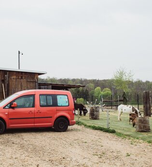 Ein rotes Auto steht vor einer Scheune. Auf der rechten Seite sind zwei Esel. Hardheim im Odenwald. | © Freizeit- und Ferienreiterhof Odenwald