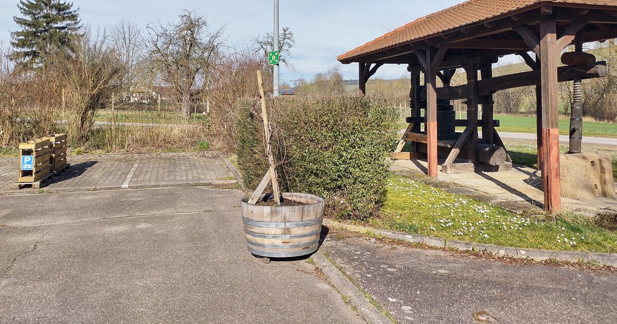 Weingärtner Stromberg-Zabergäu -Brackenheim