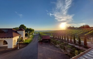 Weingut Kurz-Wagner - Aussichtslage auf dem Haigern | Talheim | HeilbronnerLand | © Weingut Kurz-Wagner