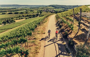 Weinsüden Weinort Brackenheim am Württemberger Weinradweg | HeilbronnerLand | © Touristikgemeinschaft HeilbronnerLand