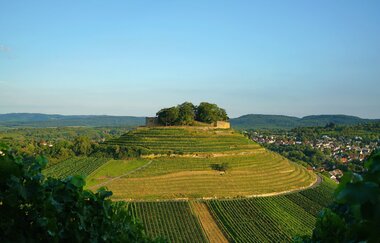 Burgruine Weibertreu | Weinsberg | HeilbronnerLand | © Tourismus im Weinsberger Tal e.V.