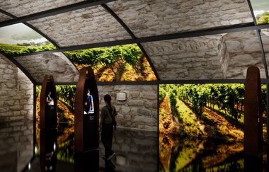 Modellbild der geplanten Ausstellung in der Deutschen Weinwelt | Brackenheim | © Deutsche Weinwelt