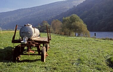 Viehtränke auf grüner Wiese im Vordergrund. Im Hintergrund der ruhig fließende Neckar entlang von bewaldeten Berghügeln, die bis zum Ufer reichen. | © Landratsamt Rhein-Neckar-Kreis
