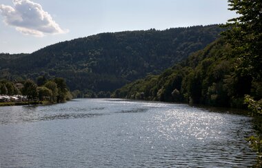 Im Vordergrund der ruhig fließende Neckar mit bewaldeten und hügeligen Wäldern an beiden Uferseiten im Hintergrund. | © Landratsamt Rhein-Neckar-Kreis
