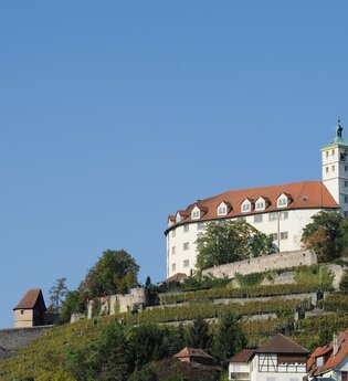 Schloss Kaltenstein
