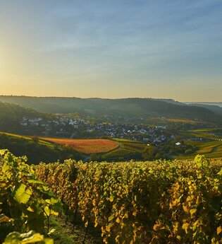 DSGVO WT Löwenstein Panorama 3 | © Wolfram Linnebach Tourismus im Weinsberger Tal