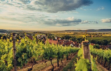 Aussicht vonm Stocksberg | © Touristikgemeinschaft HeilbronnerLand