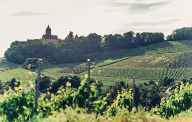 Aussicht vom Schöllkopf auf Schloss Stocksberg | © Touristikgemeinschaft HeilbronnerLand e.V.