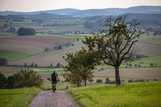 Tourismusverband Spessart-Mainland | © Spessart Mainland