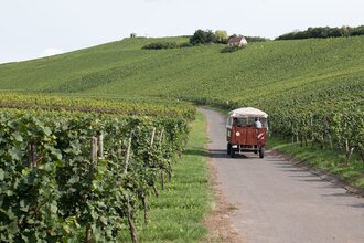 Weinbergrundfahrten mit Weinprobe | Weingut Alexander Bauer | Heilbronn-Sontheim | HeilbronnerLand | © Weingut - Besenwirtschaft - Gästehaus Bauer