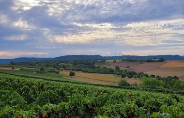 Weingut Klenert Kraichtal-Münzesheim