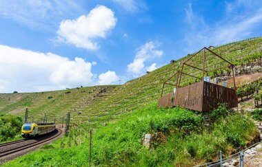 Weininformationspavillon an der Himmelsleiter Besigheim | © 3B-Tourismus-Team