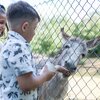 Wildpark Schwarzach | © Stadt Sinsheim