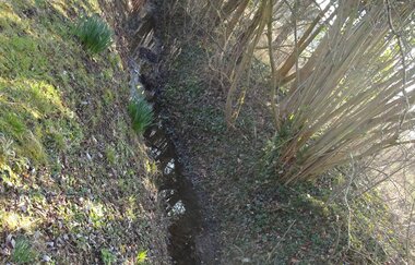BS1 - Heilquellenerlebnisweg | © Land der 1000 Hügel - Kraichgau-Stromberg