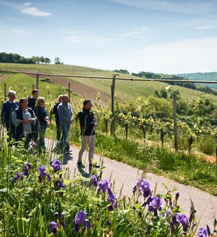 Themenroute Wein & Genuss | © Liebliches Taubertal