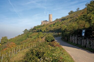 © Landratsamt Rhein-Neckar-Kreis